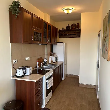 Vintage Delight Vracar Hram Sv Save 贝尔格莱德